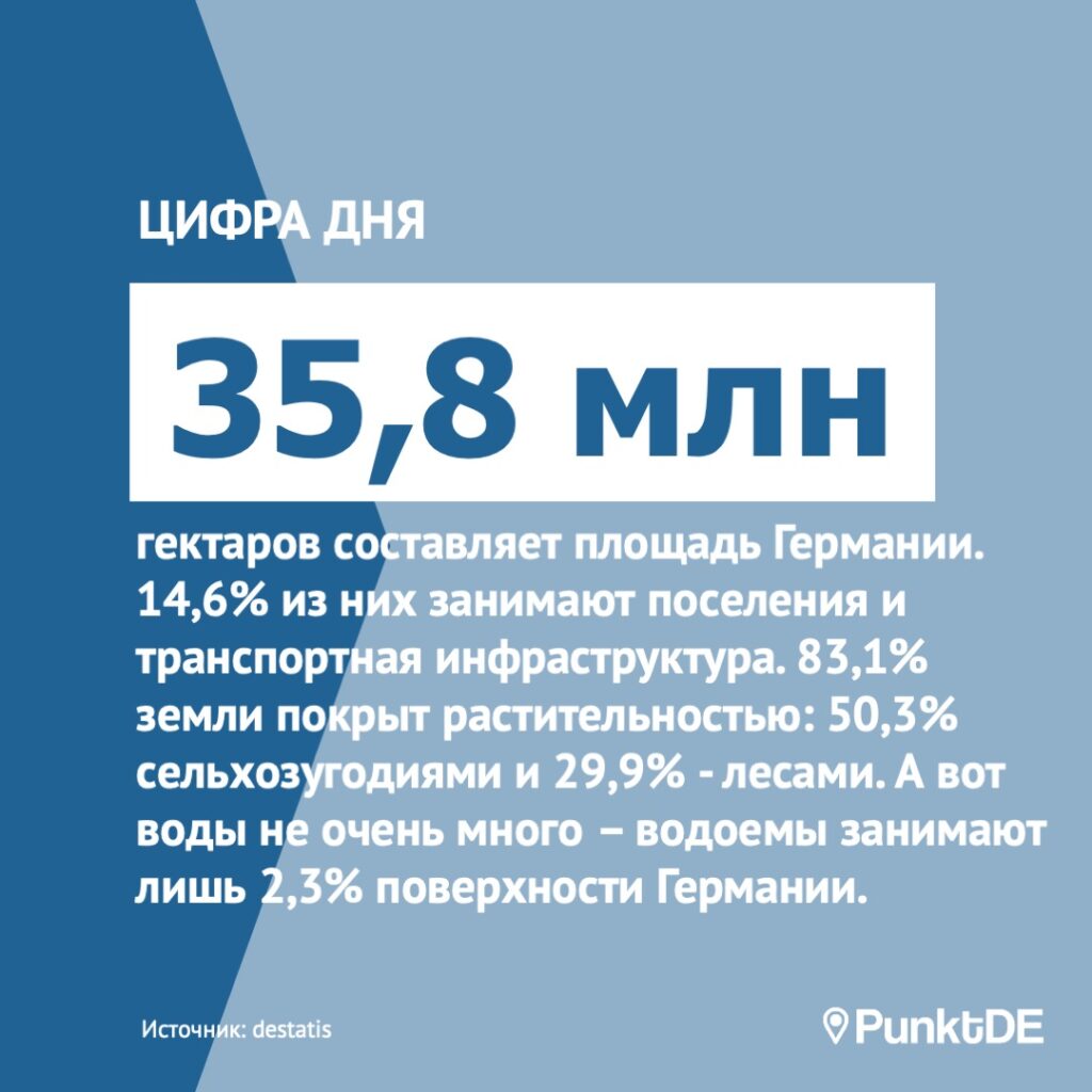 35,8 млн гектаров составляет площадь Германии. 14,6% из них занимают поселения и транспортная инфраструктура. 83,1% земли в стране покрыты растительностью: 50,3% сельхозугодиями и 29,9% - лесами. А вот воды в Германии не очень много – водоемы занимают лишь 2,3% поверхности страны.