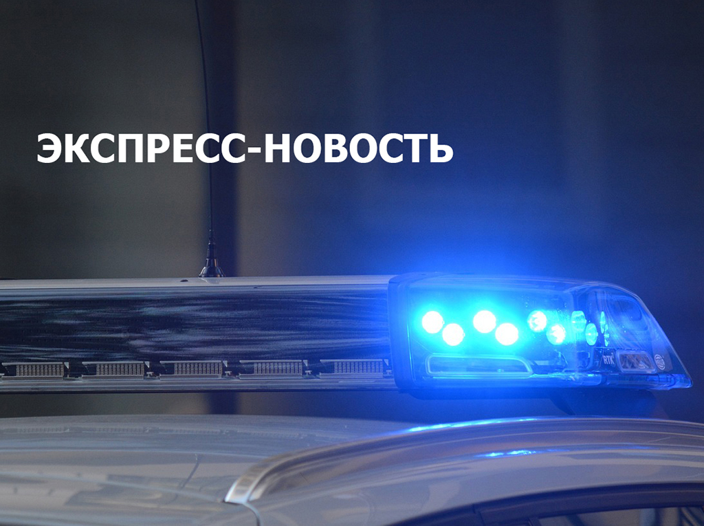 Под Ганновером поезд протаранил автомобиль