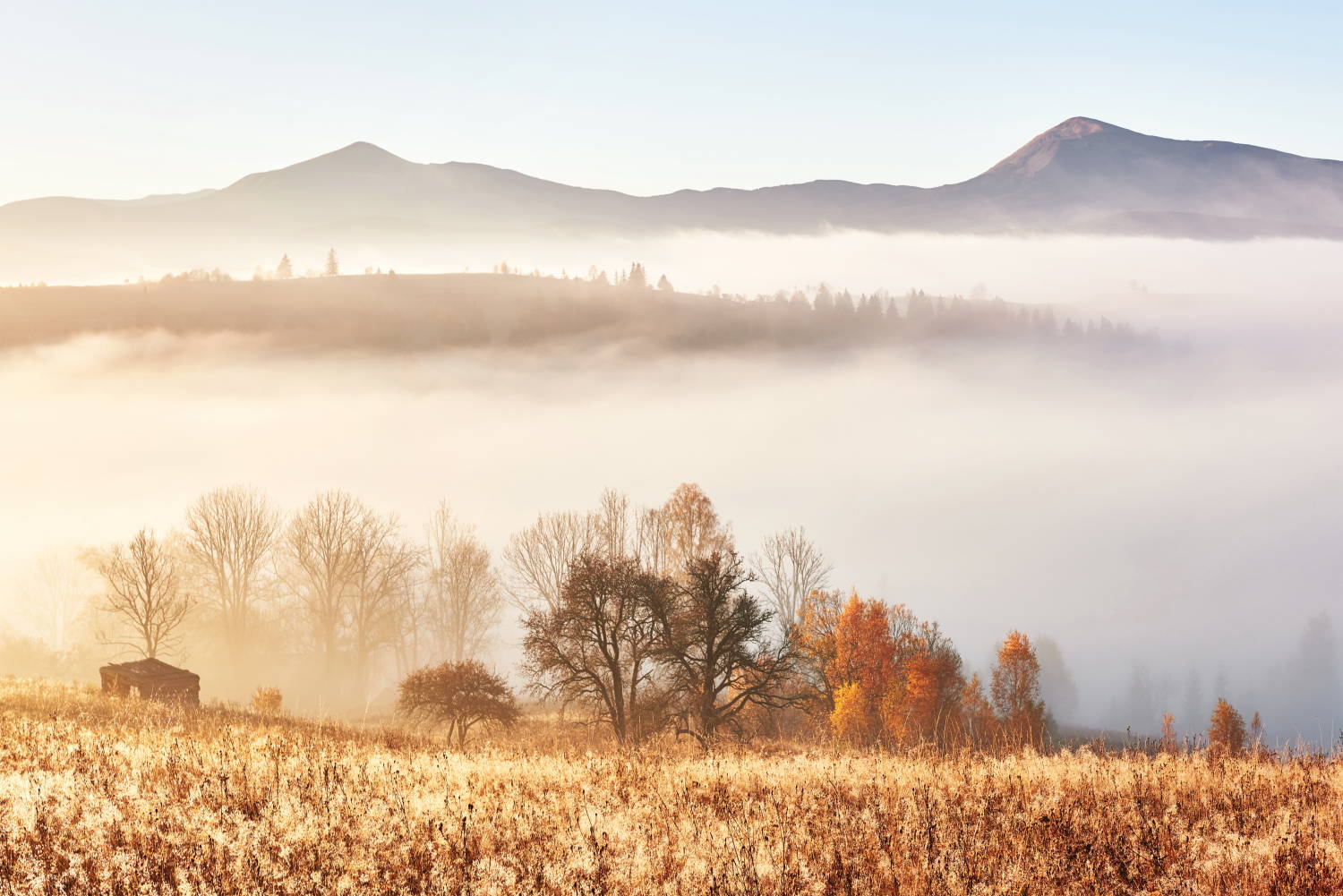 Ноябрь: второе «бабье лето» или беспросветная серость?