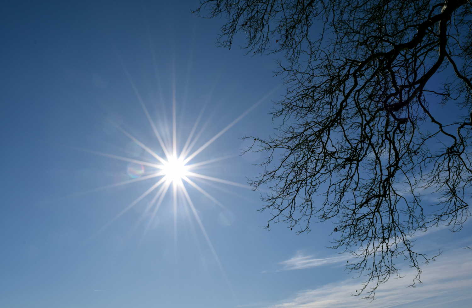 Почти весна: в Германии до +20 — но зима еще напомнит о себе