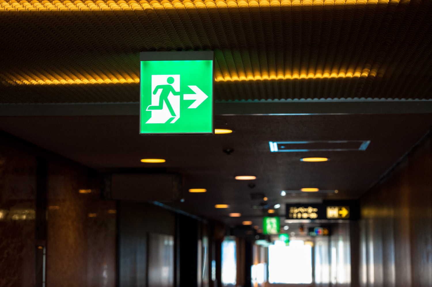 Деньги на билет: отъездов беженцев из Германии стало больше