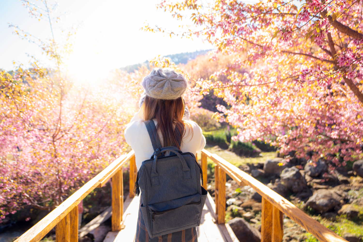 Новости Германии на русском. Погода