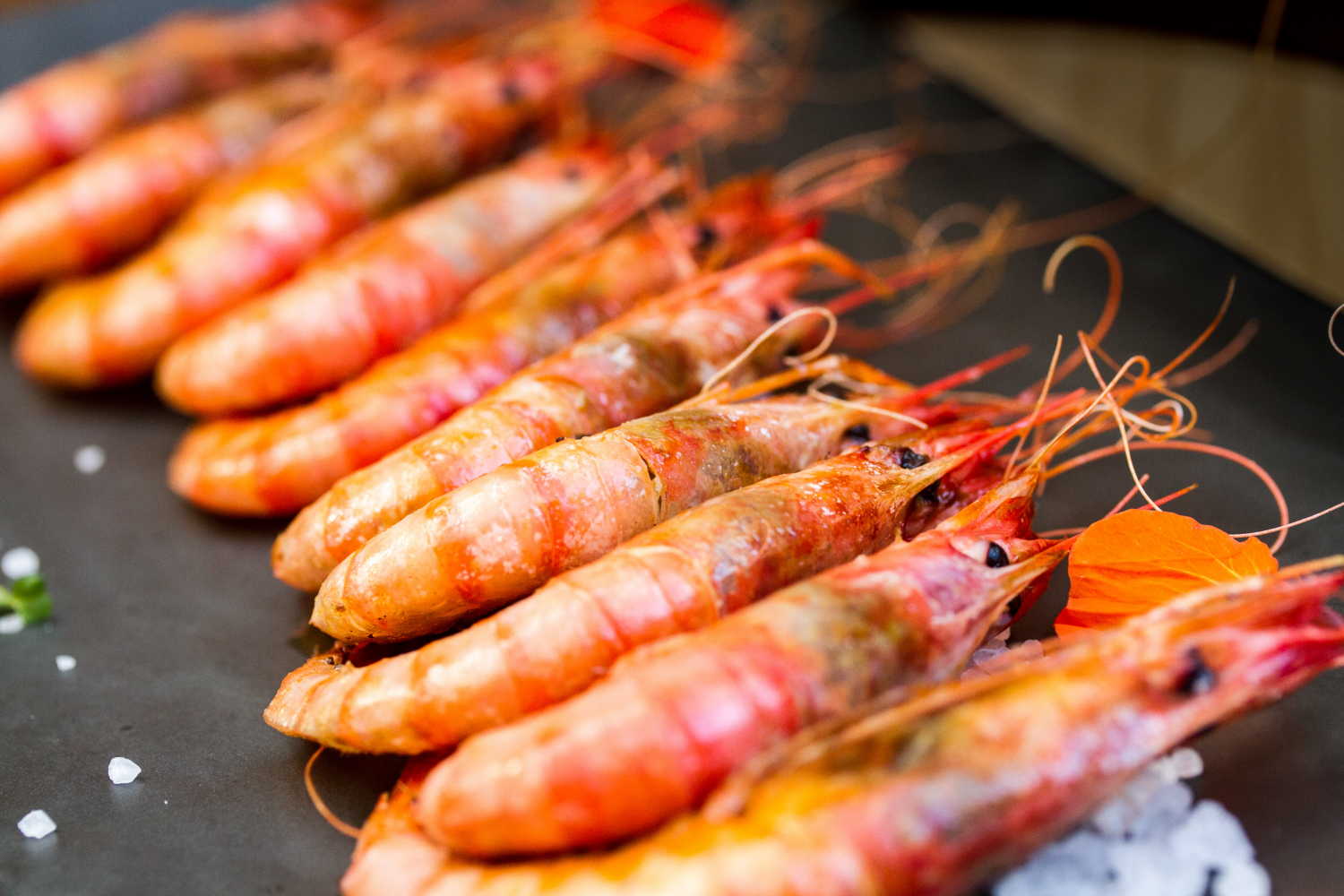 Пищевой гуманизм: Aldi решил облегчить креветкам жизнь и смерть