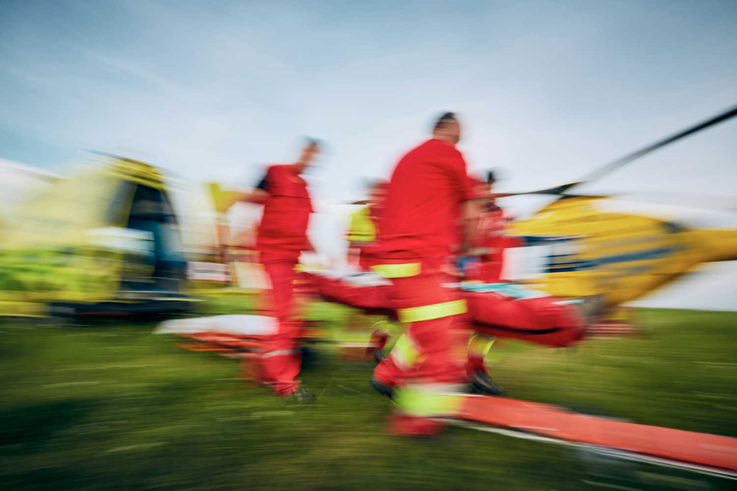 Трагедия на Пасху: в лесу под Фленсбургом дерево убило трех человек